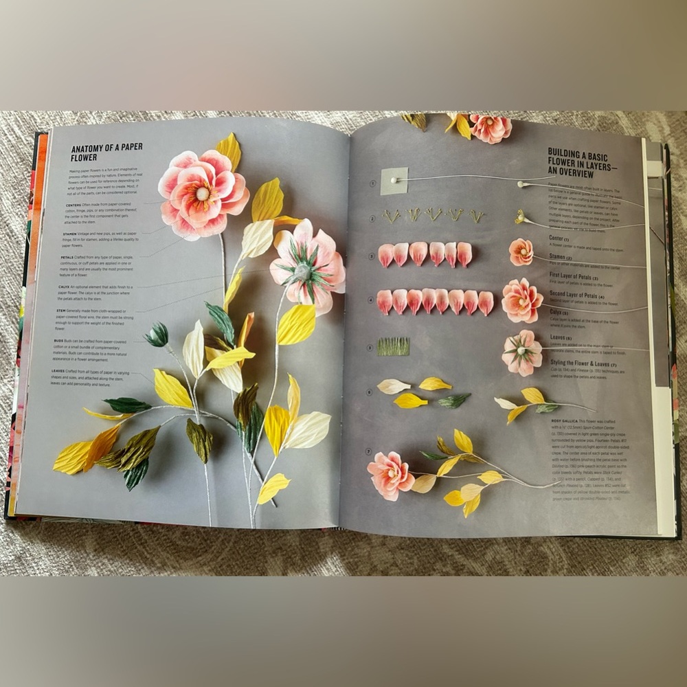 Paper to Petal - Picture 3 of 6